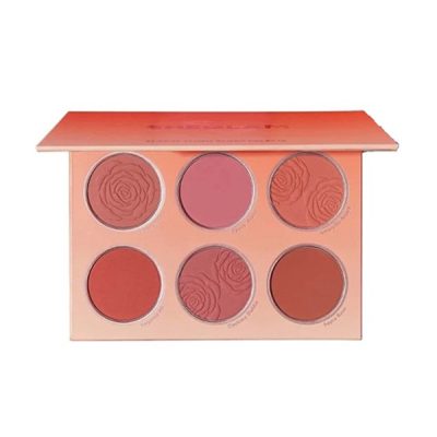 پالت رژگونه فلورال فلاش شیگلم مدل Floral Flush Blush Palette 6 رنگ